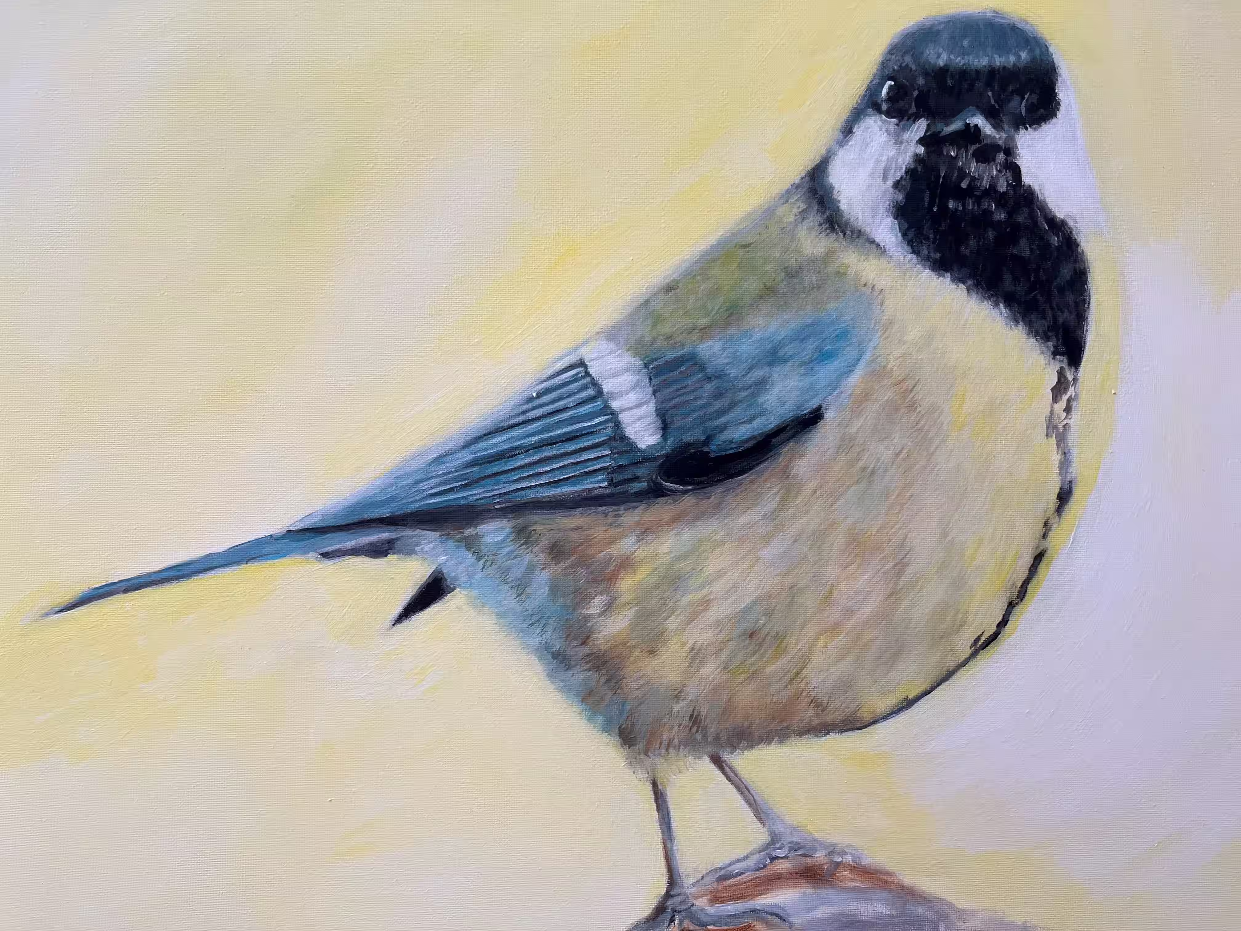 Dikke koolmees - Acryl op canvas Dikke koolmees - Acryl op canvas